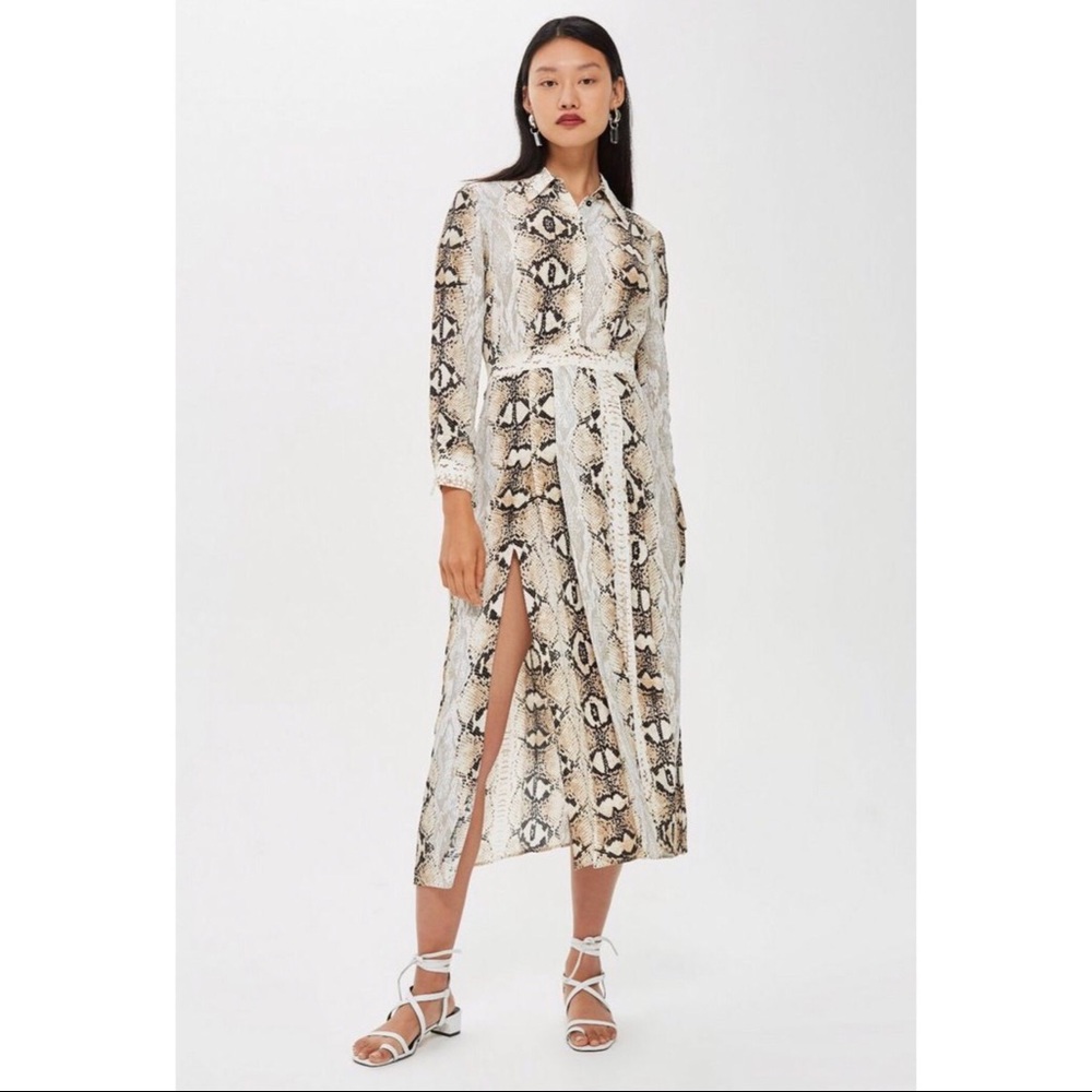 New Topshop Print Pleated Shirtdress